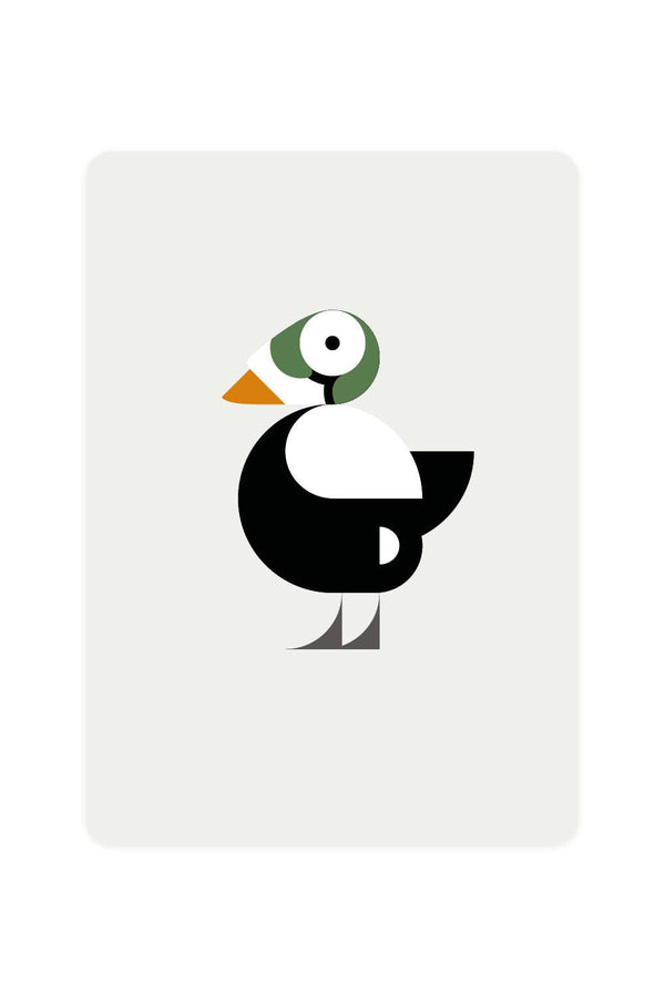 Postcard with Spectacled Eider