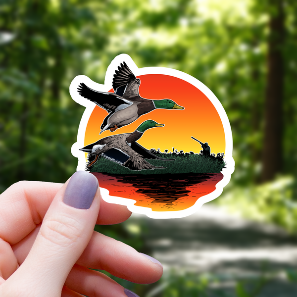 Sunset Mallard Ducks Sticker