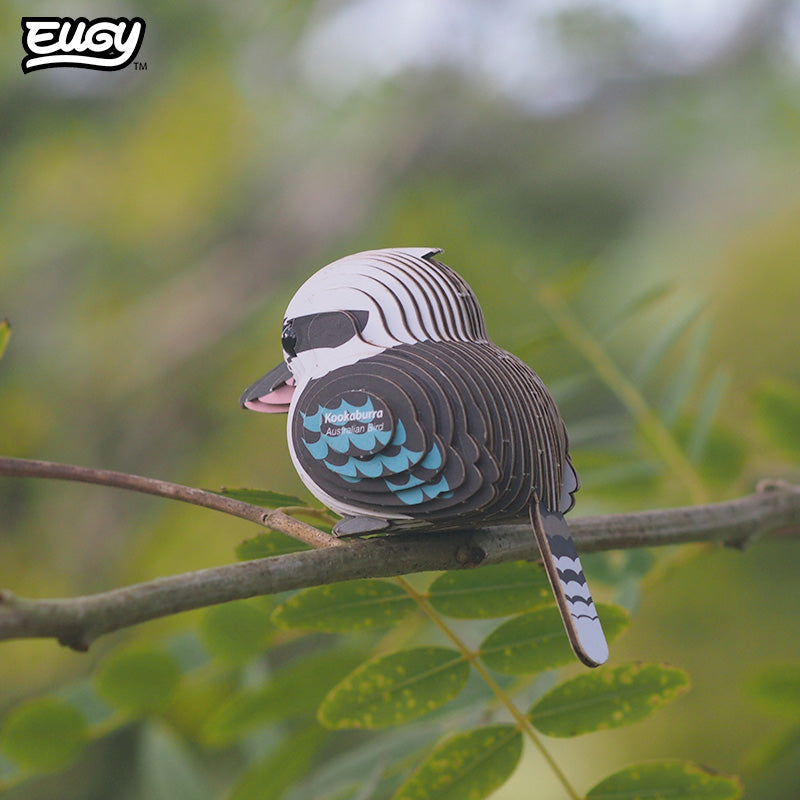 027 Kookaburra