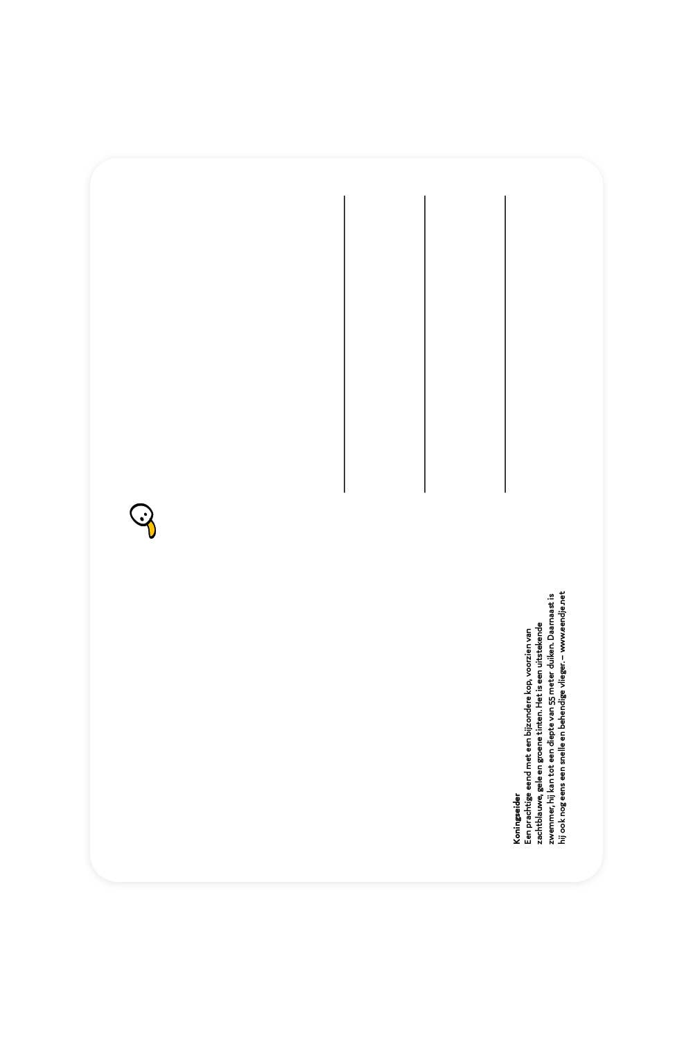 Carte postale avec Eider royal