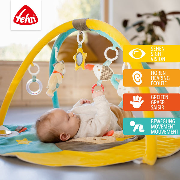3-D Activity Blanket Bruno