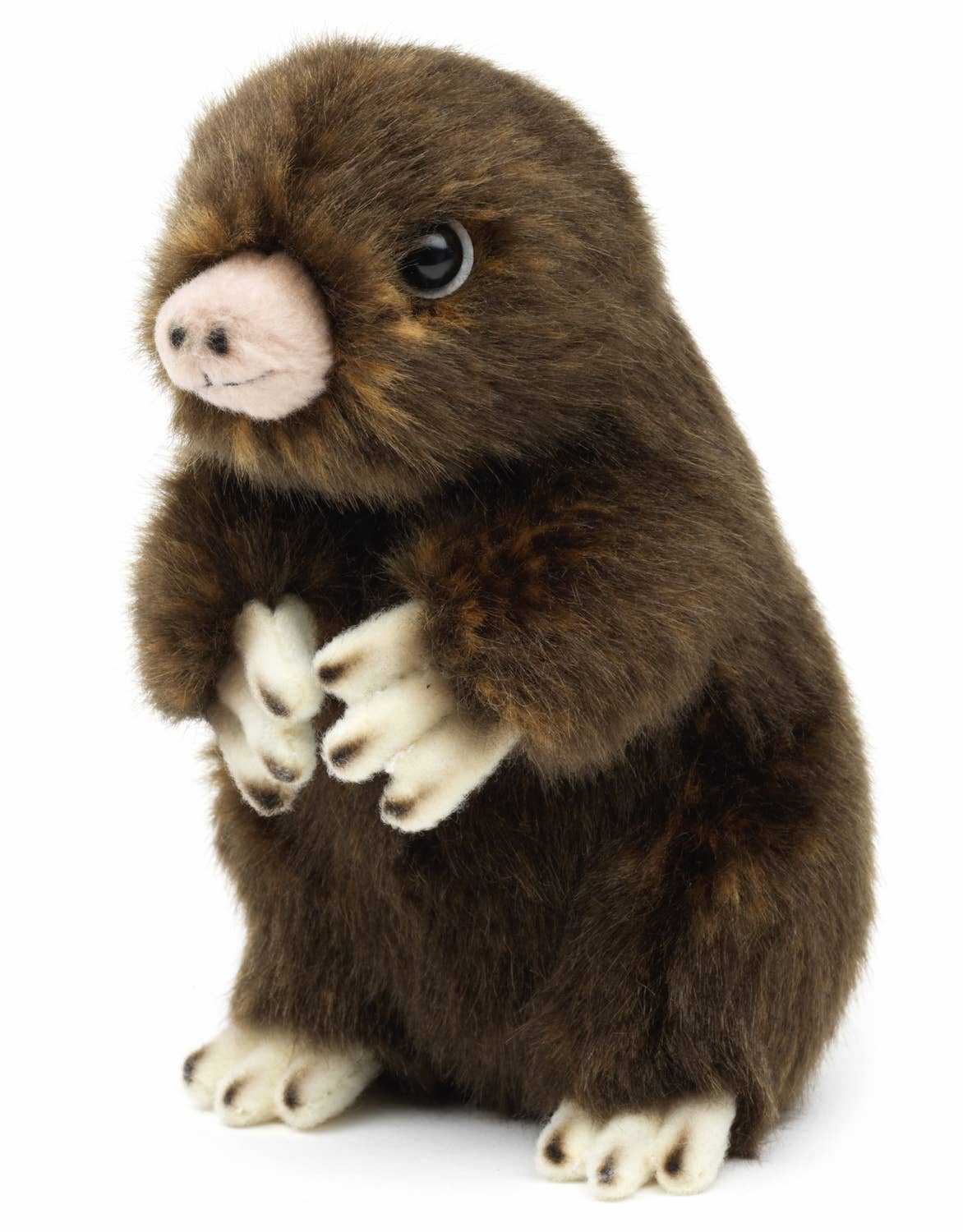 Taupe: 14 cm (height)
