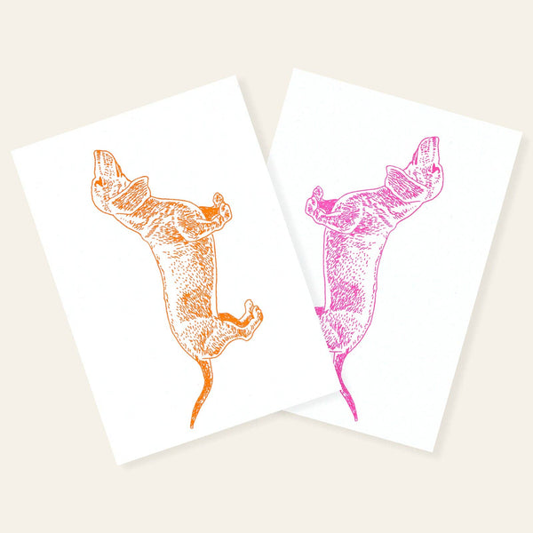 Neon Pink Dachshund Postcard