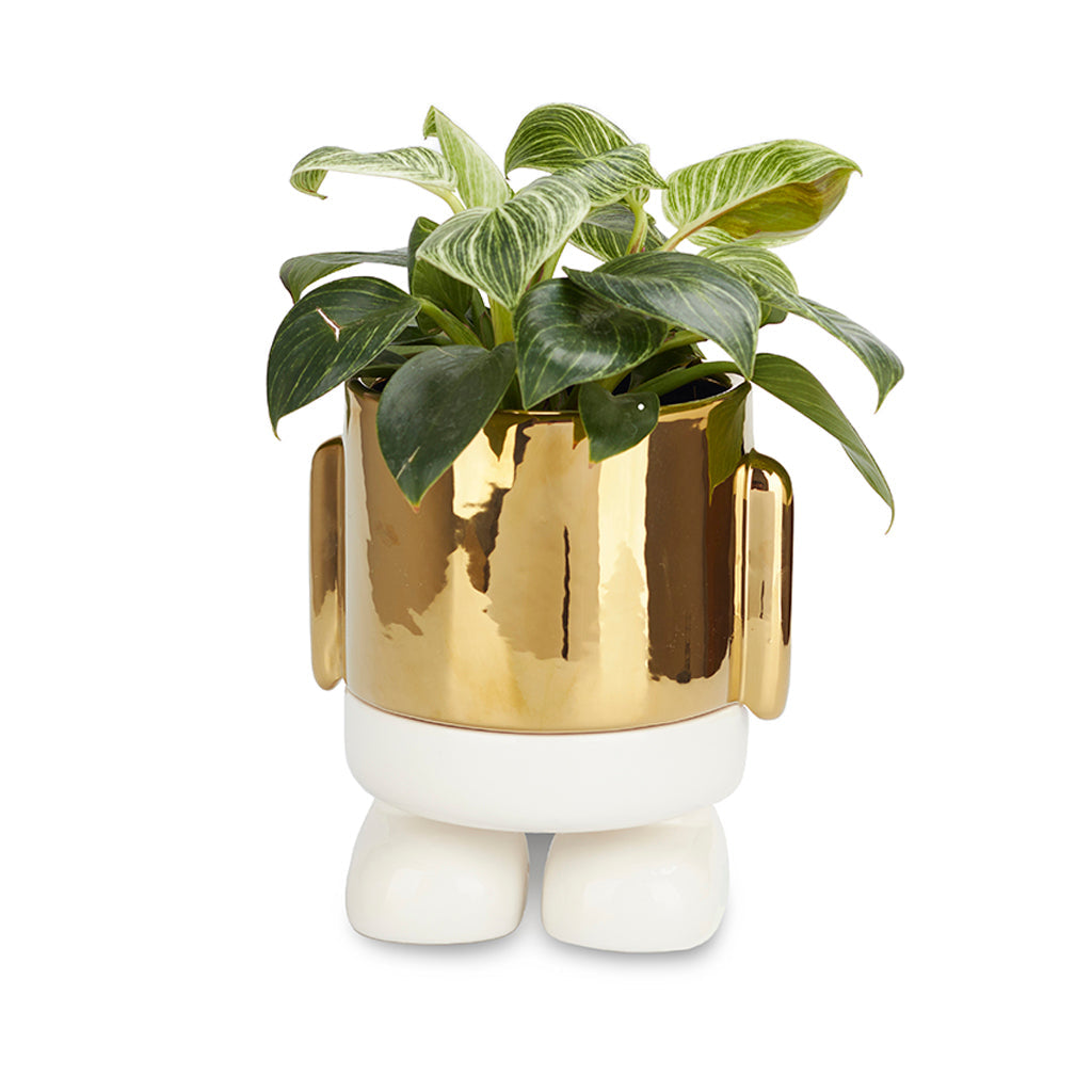 Pot de fleurs Mr. Standy