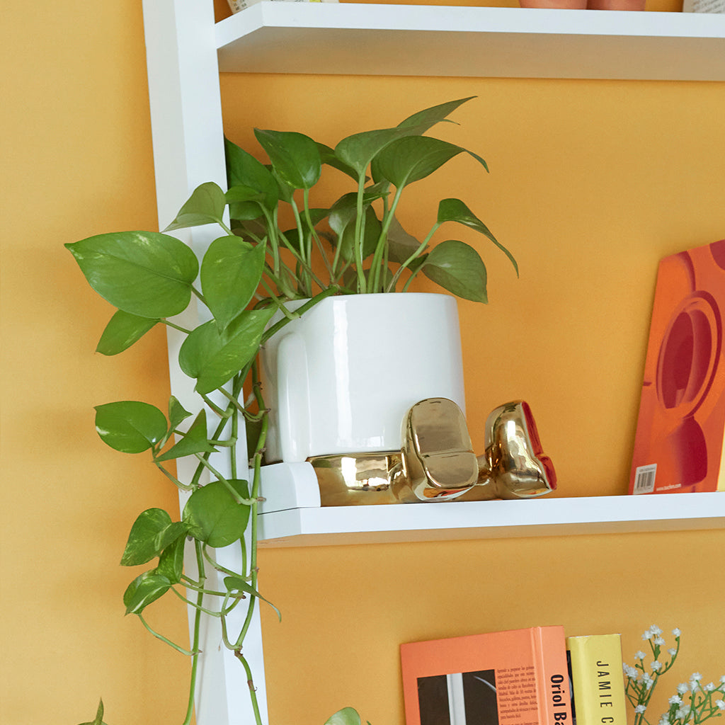 Mr. Sitty Plant Pot