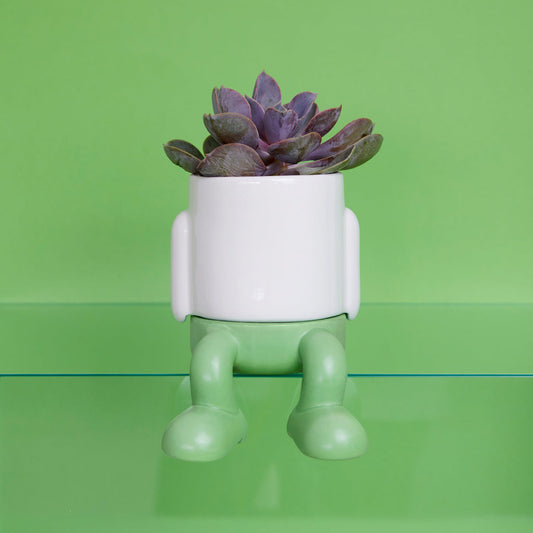 Mr. Dangly Mini Plant Pot