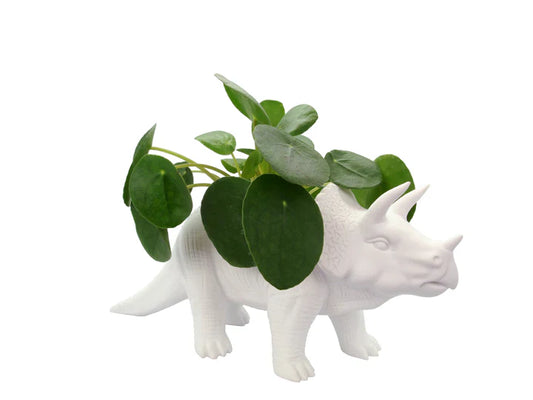 Dinosaur Tricerapot Bloempot