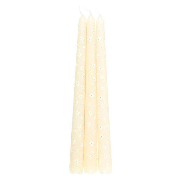 Set of 3 Daisy motif “Carrot Patch” Candles
