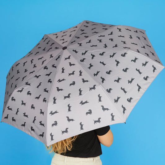 Dachshund Umbrella