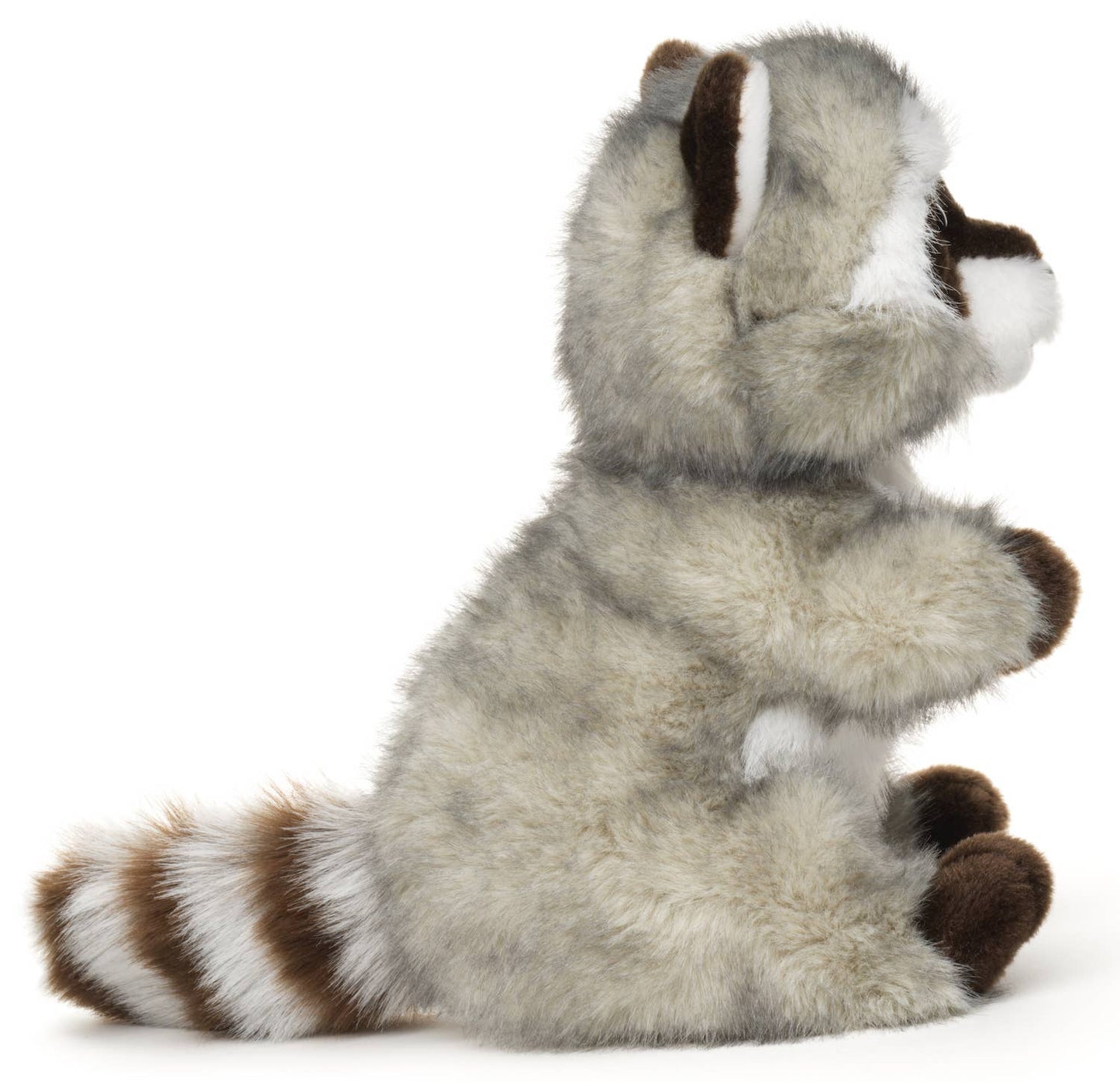 Raccoon, sitting - 21 cm (height) - Plush toy