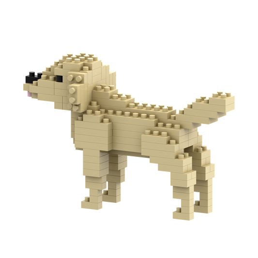 BRIXIES Golden Retriever