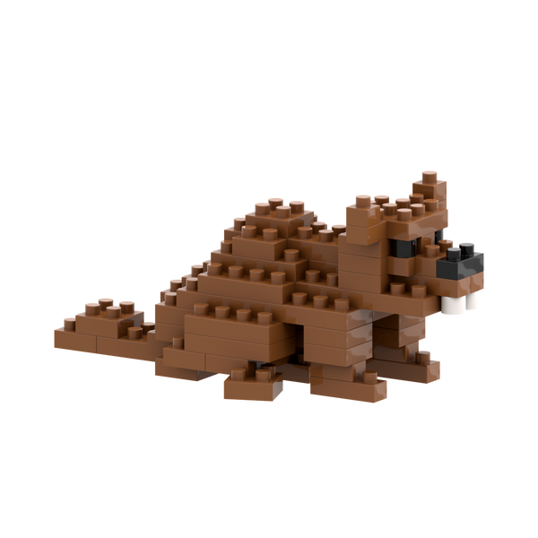 BRIXIES Beaver
