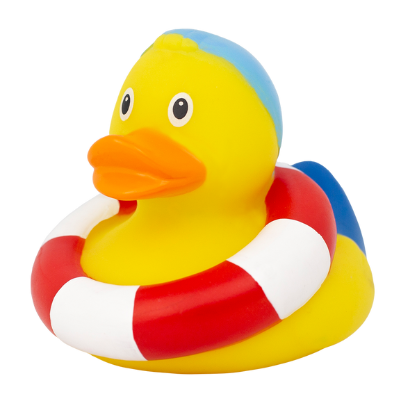 Swimming Duck