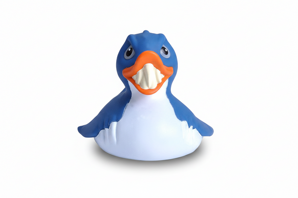 Shark duck
