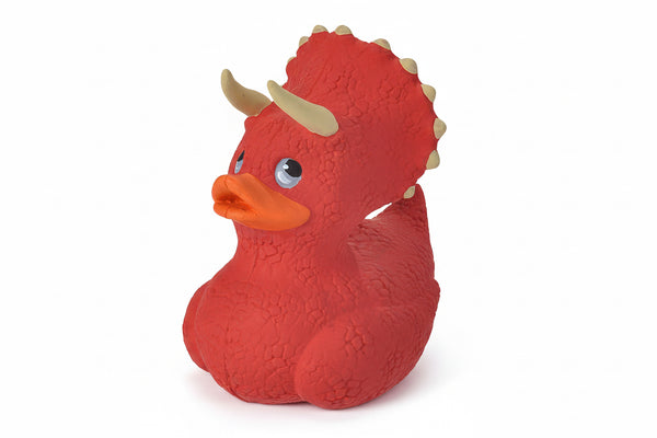 Duck Tricératops