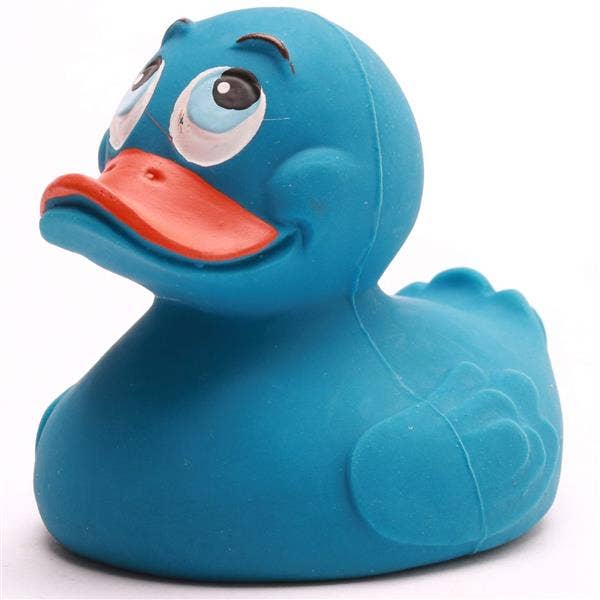 Classic Blue Duck