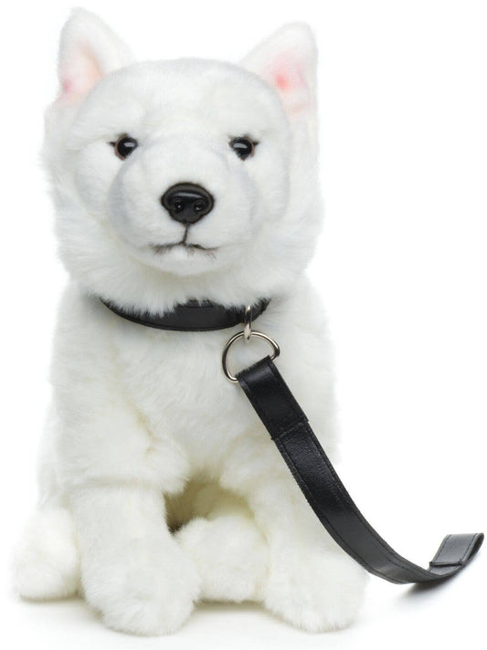 Plush Swiss Shepherd Puppy Sitting with Leash