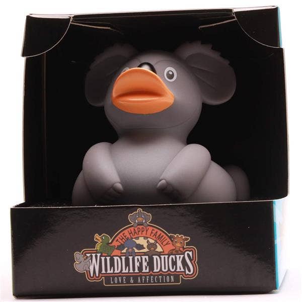 Canard koala