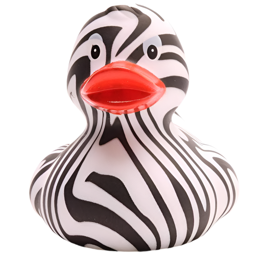 canard zebre