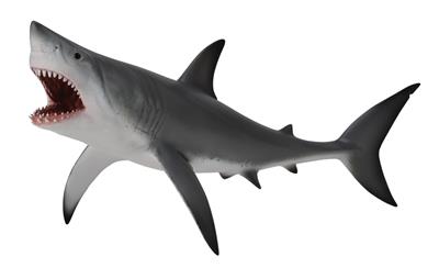 Collecta Animaux marins (XL): GRAND REQUIN BLANC 20.4x9.5cm
