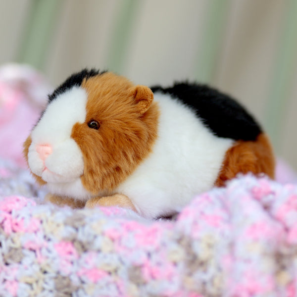 ANIMIGOS THE WORLD OF NATURE GUINEA PIG