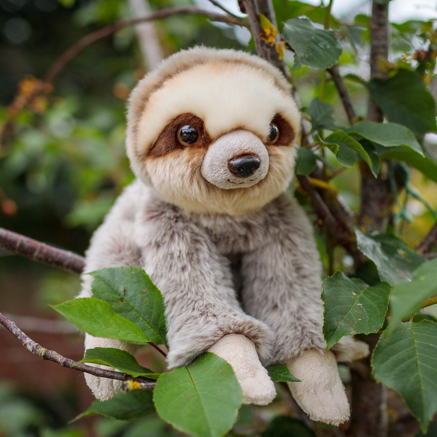 ANIMIGOS SLOTH NATURE WORLD