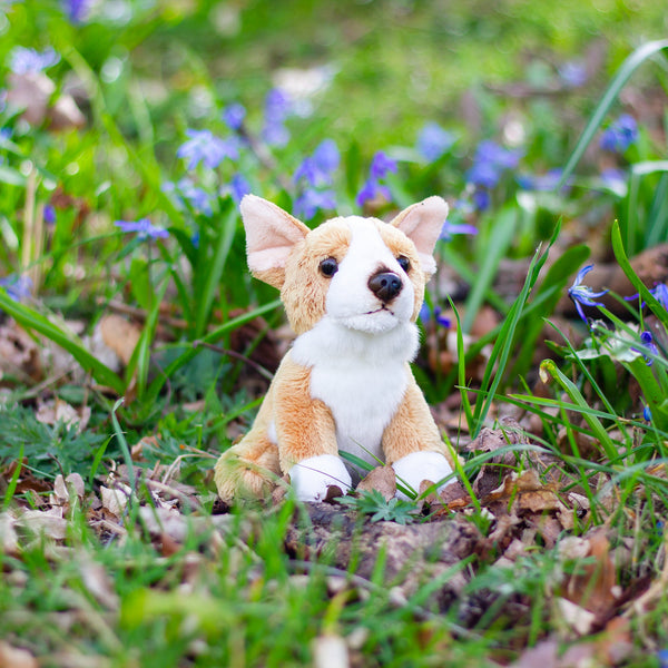 ANIMIGOS THE WORLD OF NATURE MINI CORGI