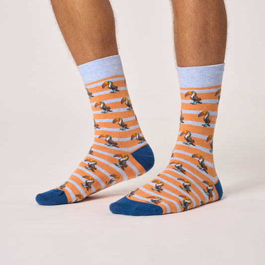 Combed cotton animal socks - Toucan