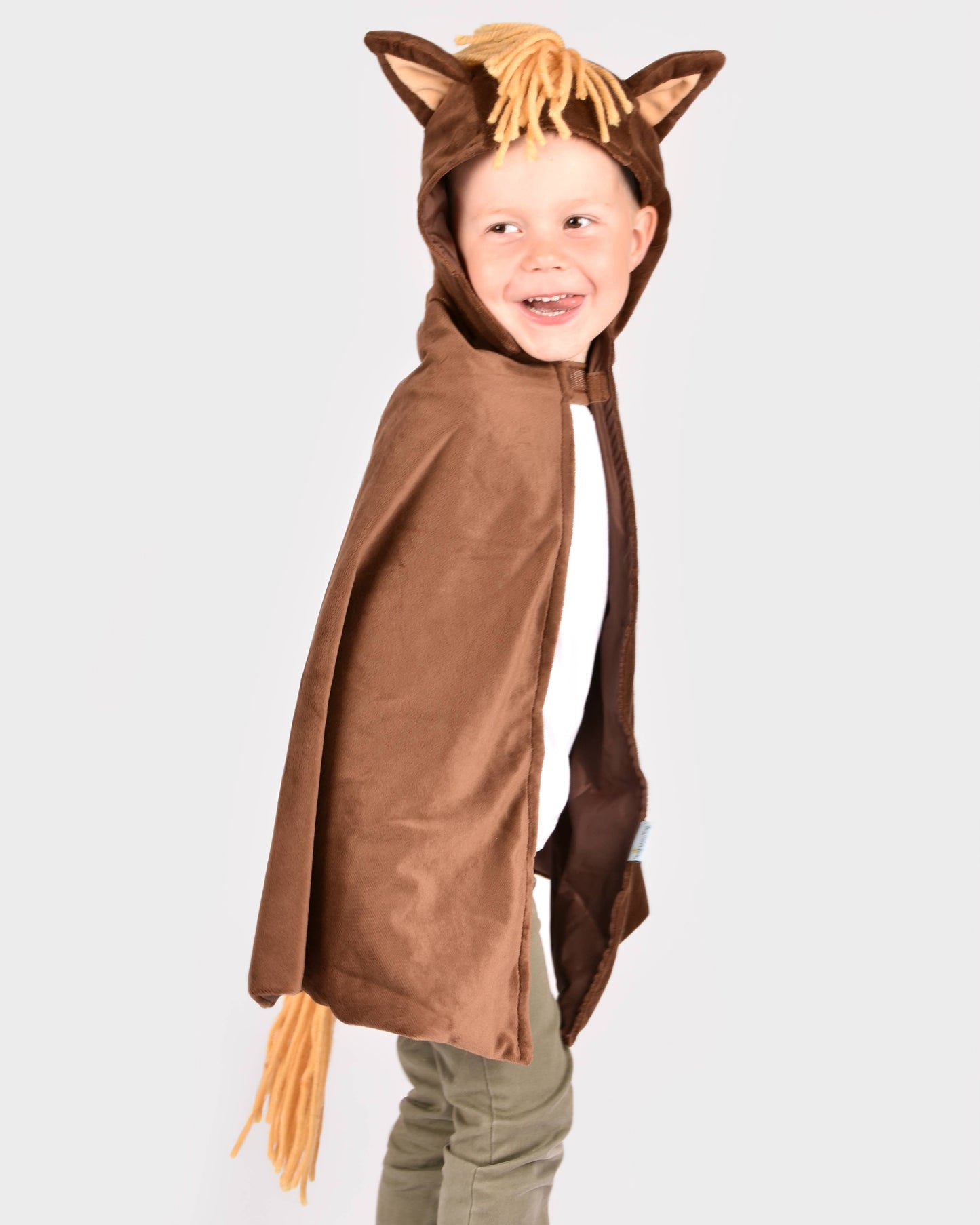 Cape Horse 98-128 Cm 3-8 years