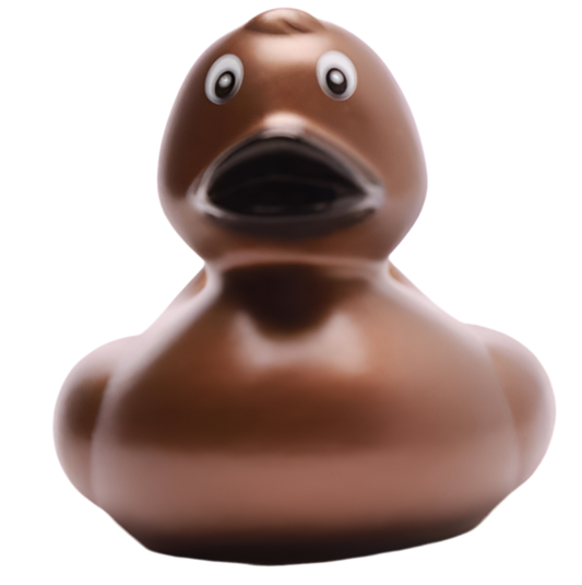 canard classique bronze