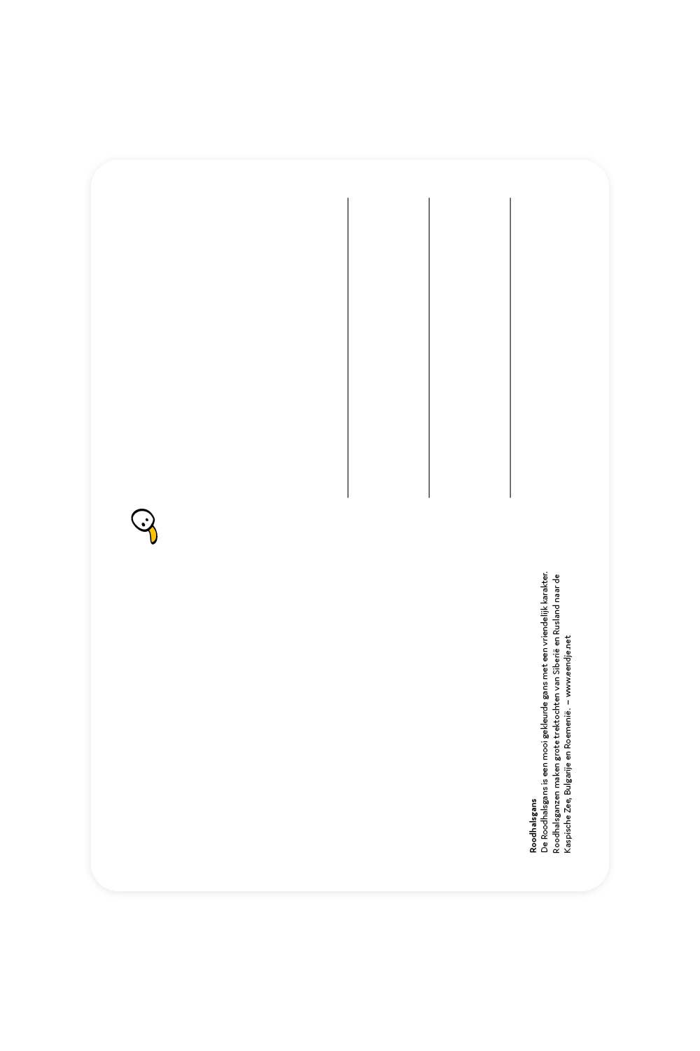 Carte postale Oie à cou roux