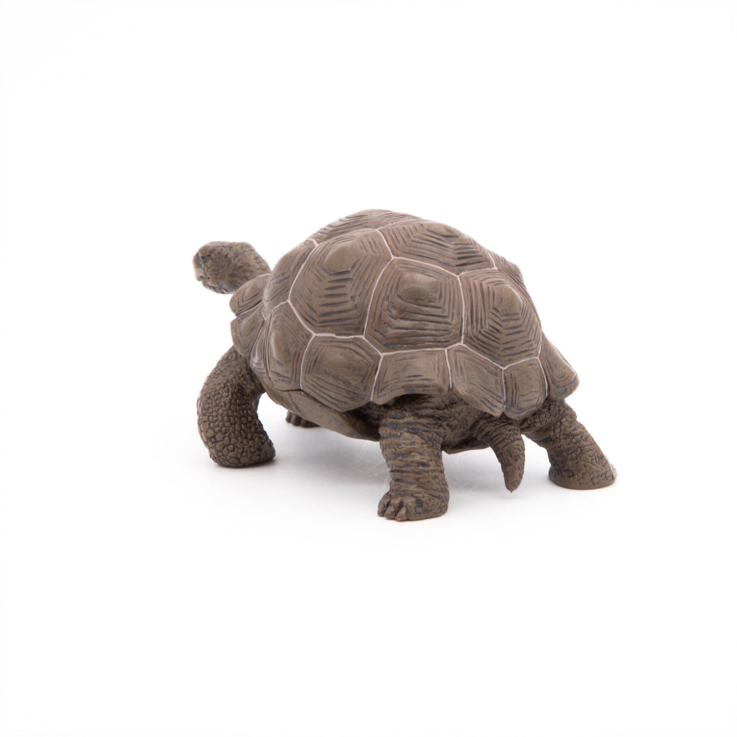 Galapagos Tortoise Figurine