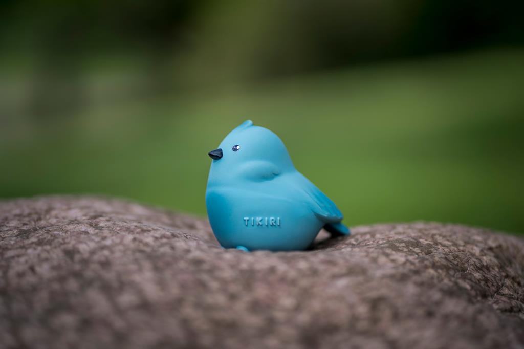 Mijn eerste tuindier, een vogel