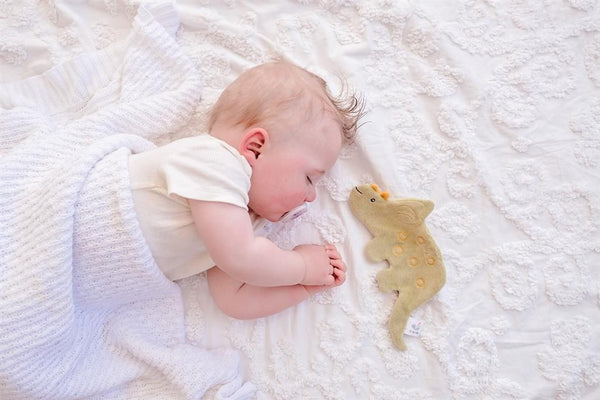 Crinkle Toy Soft Dinausore Triceratops