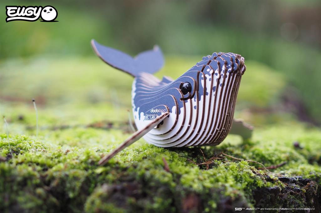 EUGY 3D – Buckelwal