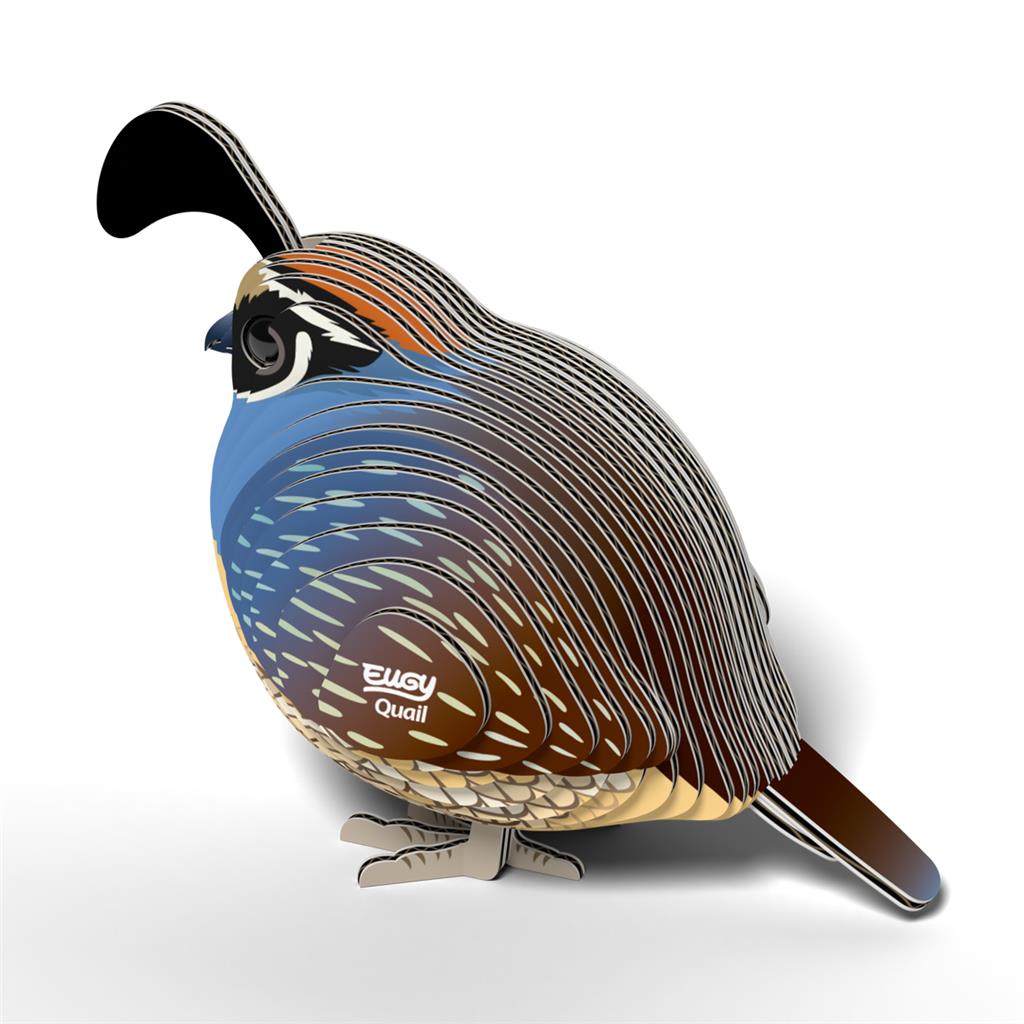 EUGY 3D - Quail