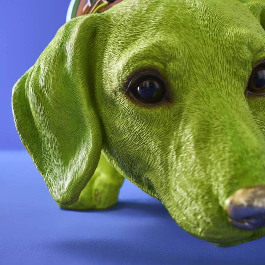 Halsband van de Teckel Wilfried M., Groen, Polyhars