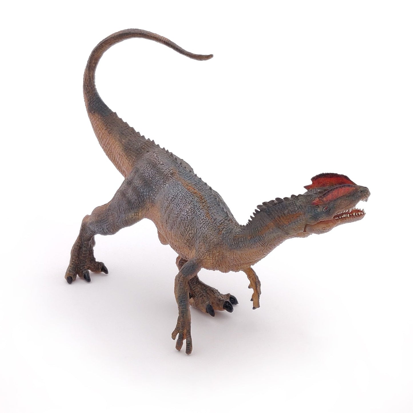 Dilophosaurus Figure
