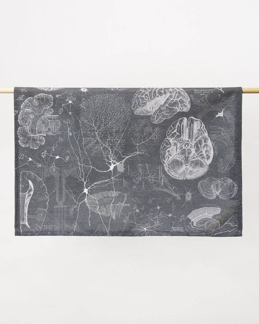 Torchon Science du Cerveau et des Neurosciences – produit scientifique Cognitive Surplus EU, vue 2