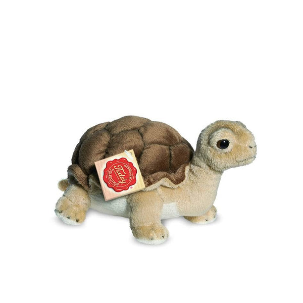 Turtle Plush
