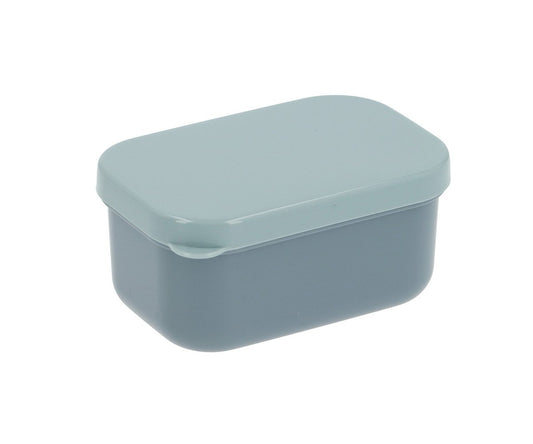 Boîte à Déjeuner Bento Crocodile