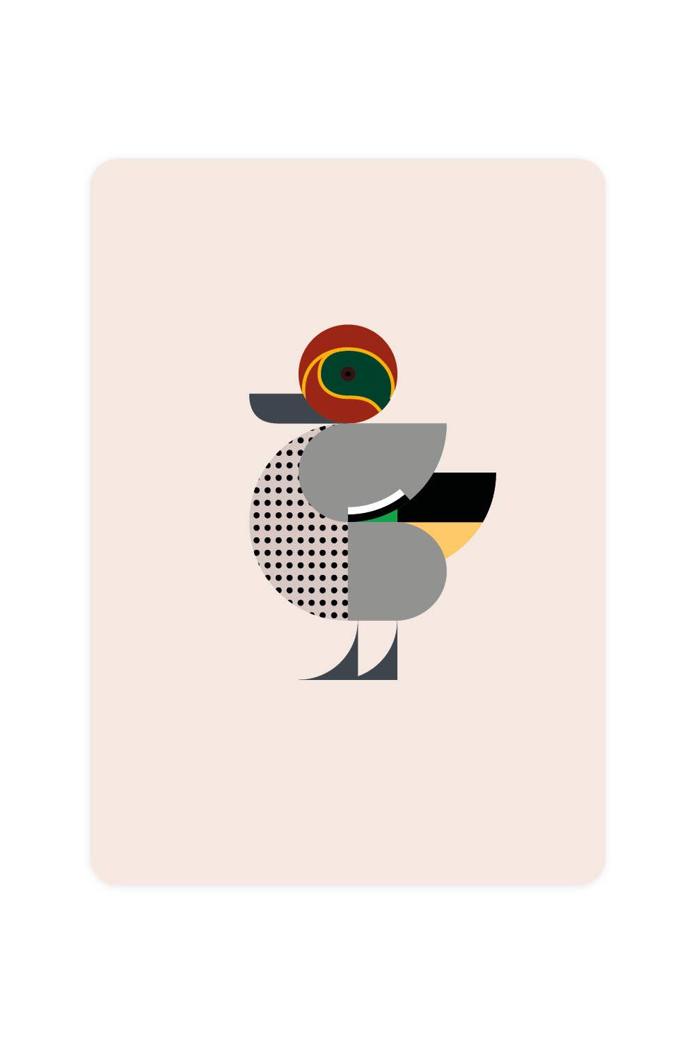 Carte postale Sarcelle d'hiver