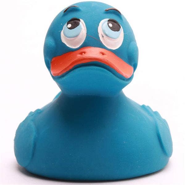 Classic Blue Duck