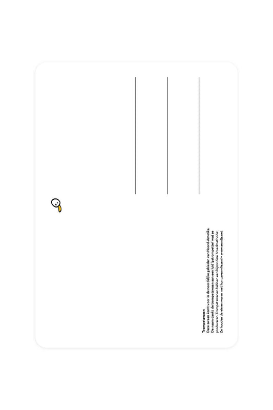 Postcard with trumpeter swan