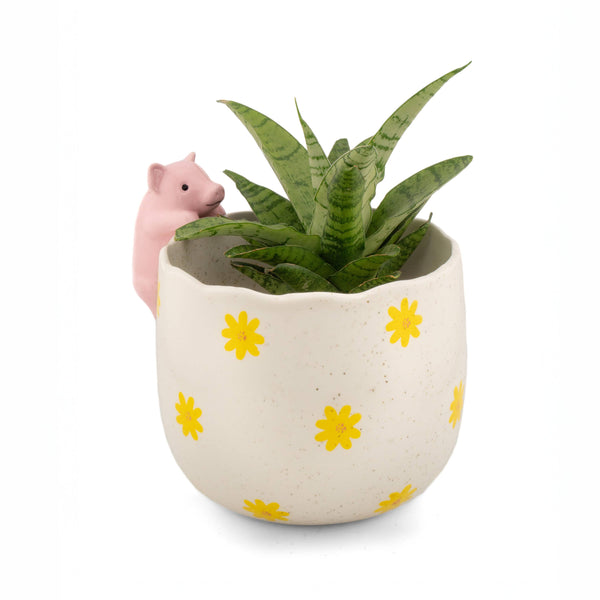 Mischievous Pig Planter