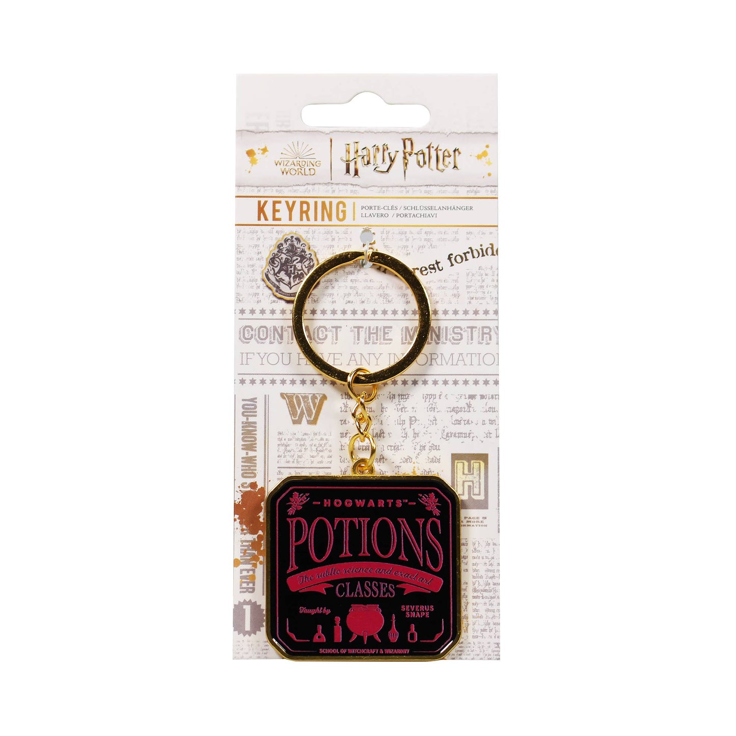 Sleutelhanger met briefkaartje - Harry Potter (Toverdranken)