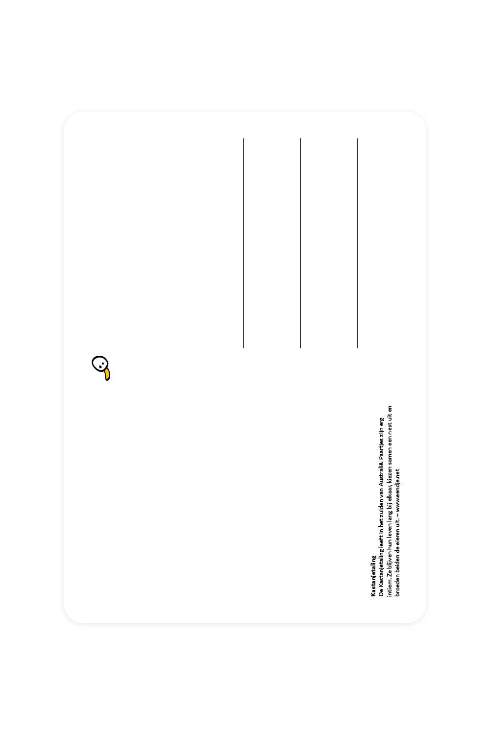 Carte postale avec Sarcelle châtaigne