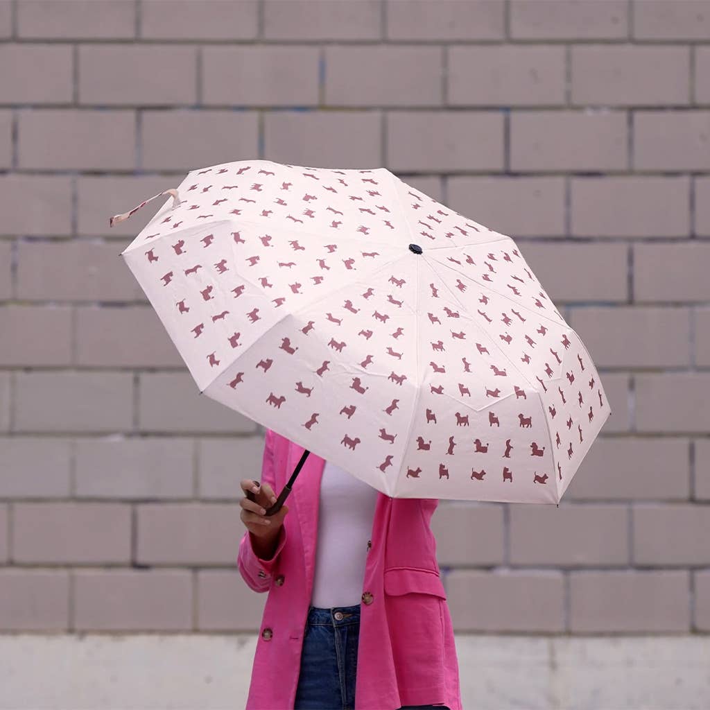 Puppymbrella hondenparaplu