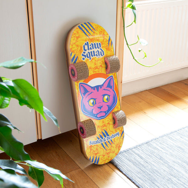 Skateboard de grattage pour chat