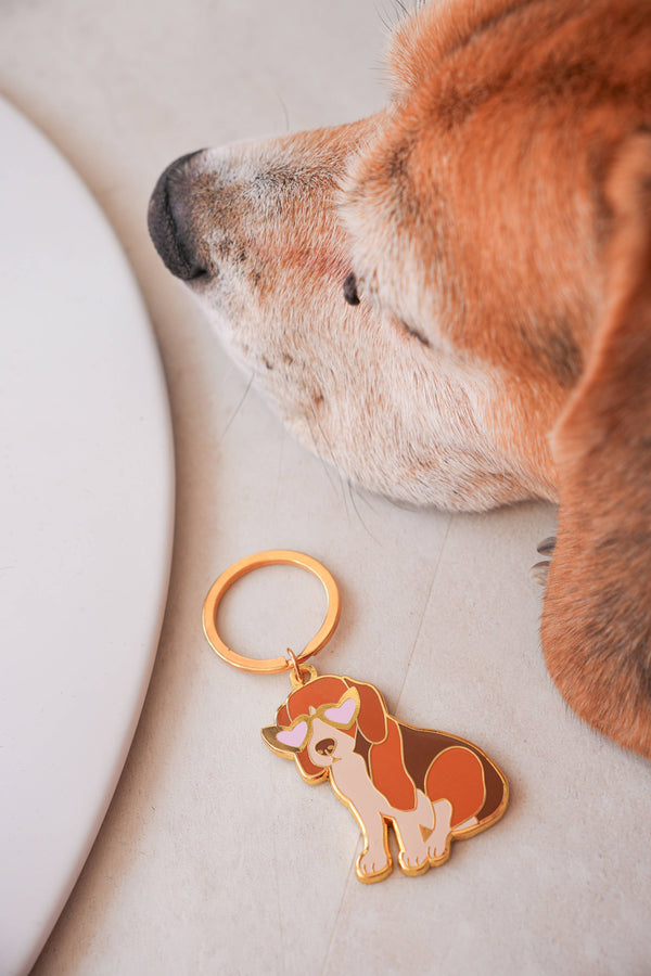 Porte-clés Beagle